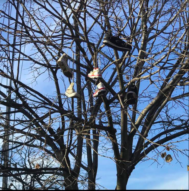 Chronic Illness and  Childhood Trauma