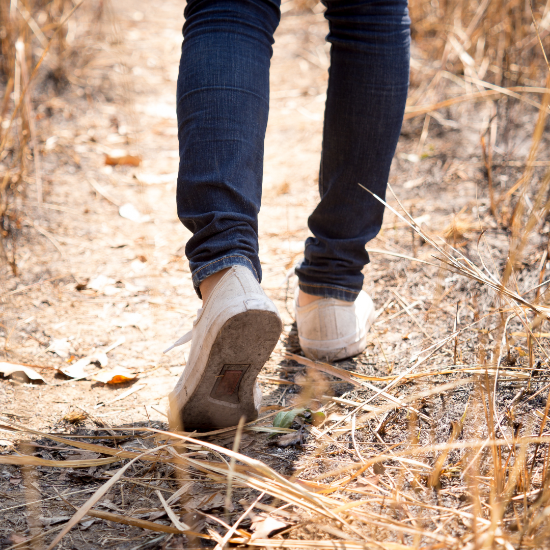 The Hero’s Journey